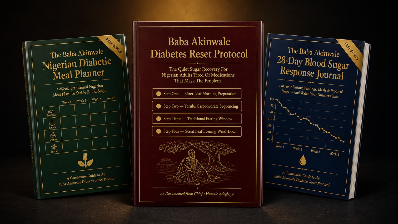 Full Baba Akinwale Bundle — Guide + Both Bonuses