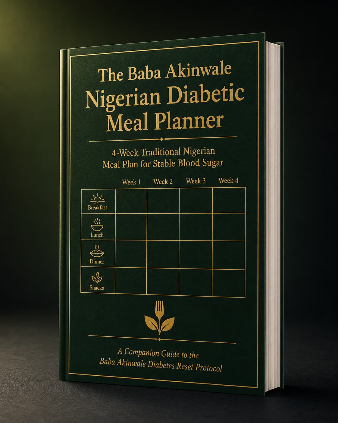 Nigerian Diabetic Meal Planner